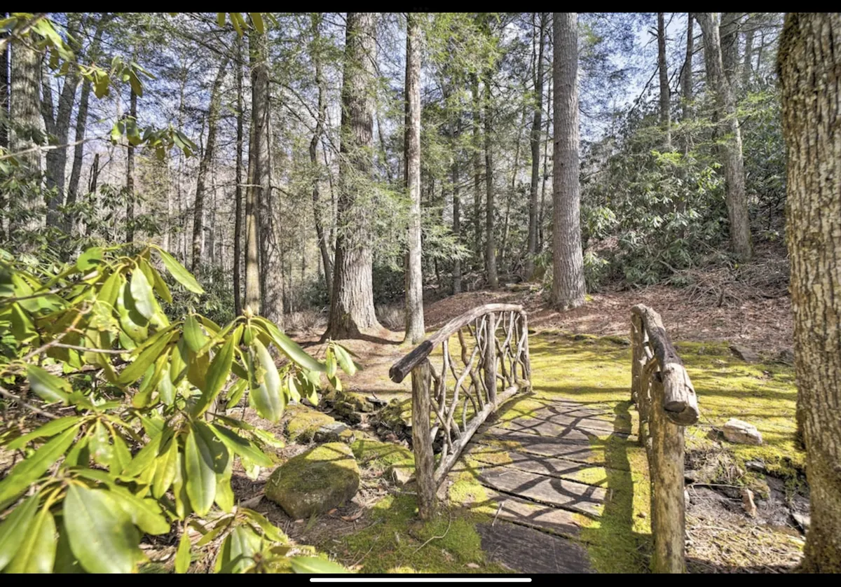 A charming wooden bridge crosses over mossy ground beneath a canopy of trees and leafy plants, inviting gentle walks and close observation of nature. The scene feels secluded and harmonious, ideal for peaceful exploration.